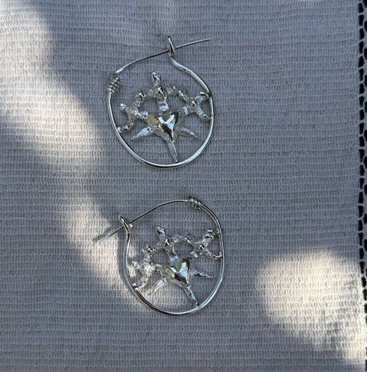 Sacred Hoops