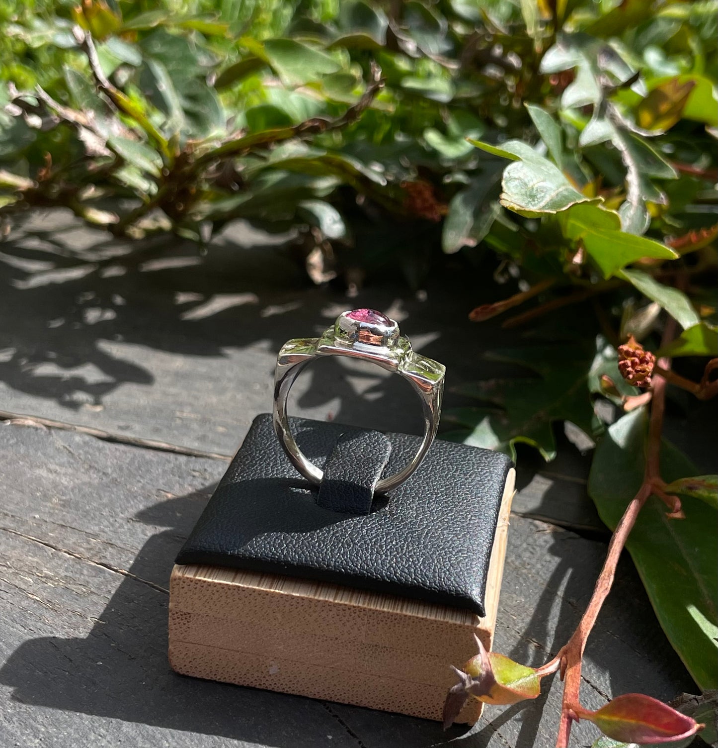 Tourmaline with a view